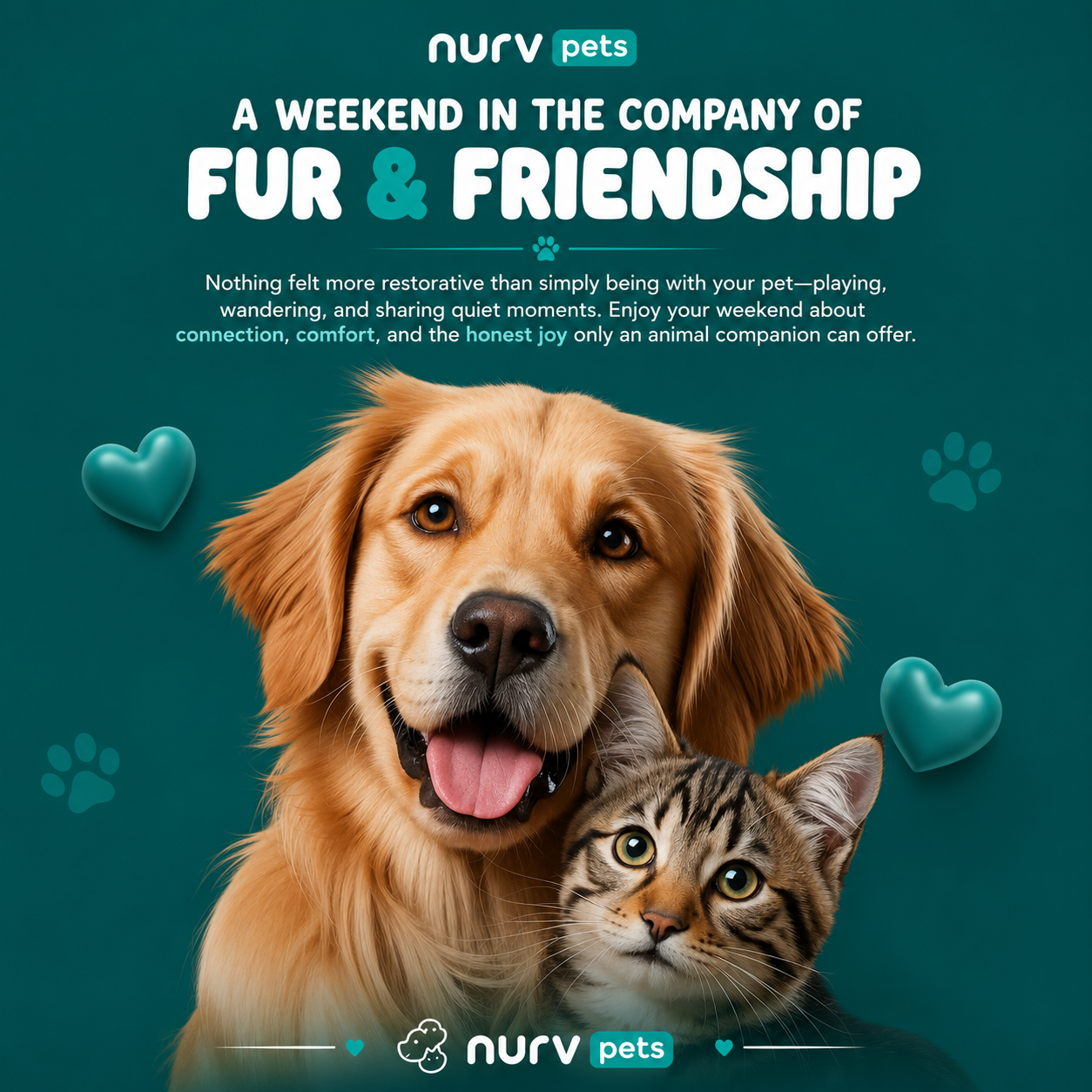 NURV Pets — A weekend in the company of fur and friendship