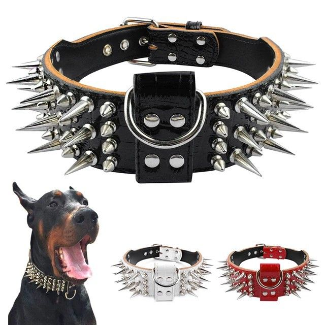 Studded leather dog collar
