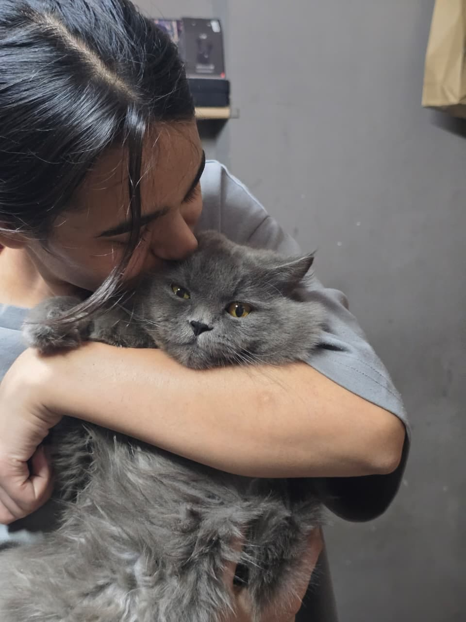A pet parent kissing a grey cat